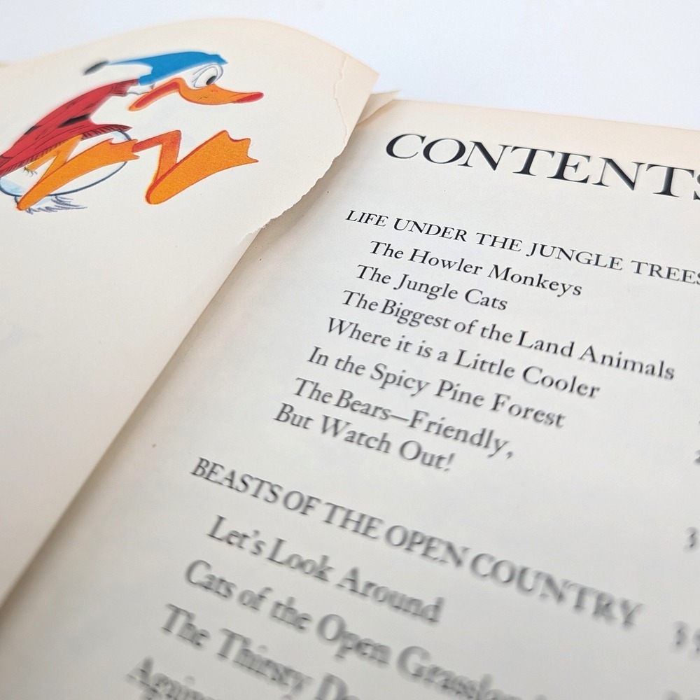 Disney Wonderful World of Knowledge Vol 1 Vintage 1971 Nature Animals Book - Picture 5 of 11